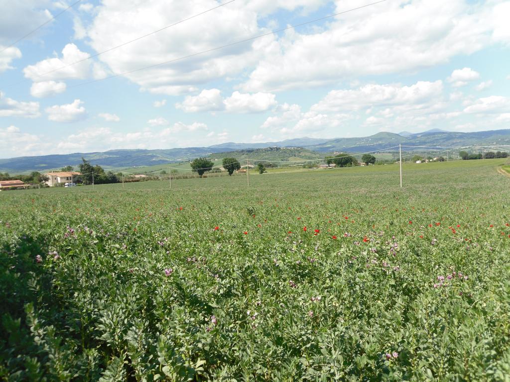 Agriturismo Il Giardino Saturnia Dış mekan fotoğraf
